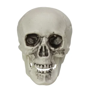 Pack Of 6 Skull Head Halloween Decorations 3.5