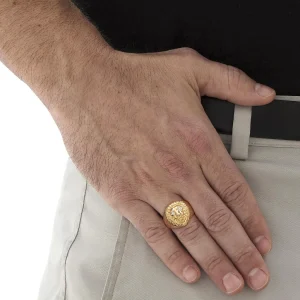 Oriental Trading Rings*Palmbeach Jewelry Men's Yellow Gold-Plated Sterling Silver Genuine Diamond Accent Lion's Head Ring Sizes 8-16