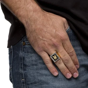 Oriental Trading Rings*Palmbeach Jewelry Men's Yellow Gold-Plated Sterling Silver Genuine Diamond Accent Black Natural Onyx Eagle Ring Sizes 8-16
