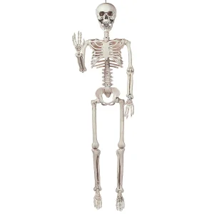 3' Posable Skeleton Halloween Decoration<Oriental Trading Sale