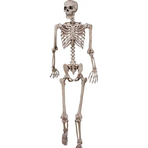 62" Poseable Skeleton Decoration<Oriental Trading Discount