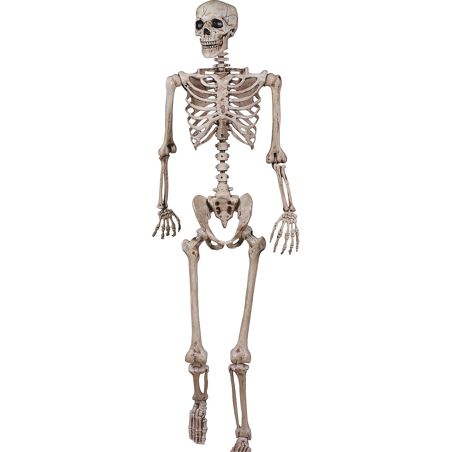 poseable_skeleton_decora_0.webp 62" Poseable Skeleton Decoration<Oriental Trading Discount