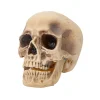 Realistic Rotting Skull Halloween Decoration<Oriental Trading Sale