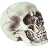 Realistic Skull Decoration<Oriental Trading Outlet
