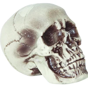 Realistic Skull Decoration<Oriental Trading Outlet