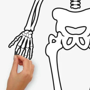 Roommates Skeleton Glow In The Dark Peel And Stick Giant Wall Decals<Oriental Trading Best