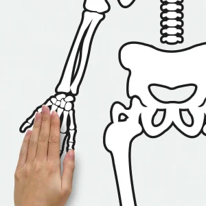 Roommates Skeleton Glow In The Dark Peel And Stick Giant Wall Decals<Oriental Trading Best