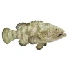 Oriental Trading Character Toys*Safari Goliath Grouper Toy