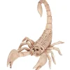 Scorpion Skeleton Halloween Decoration<Oriental Trading Cheap