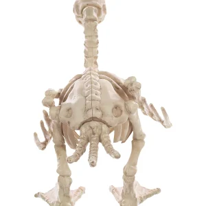 Skeleton Baby Duck Prop<Oriental Trading Online