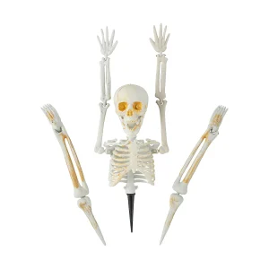 Skeleton Body Pumpkin Poke-Ins Halloween Decoration - 5 Pc.<Oriental Trading Discount