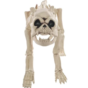 Skeleton Bones The Dog Prop<Oriental Trading Shop