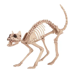 Skeleton Cat<Oriental Trading Outlet