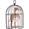 Skeleton Crow In A Cage<Oriental Trading Online