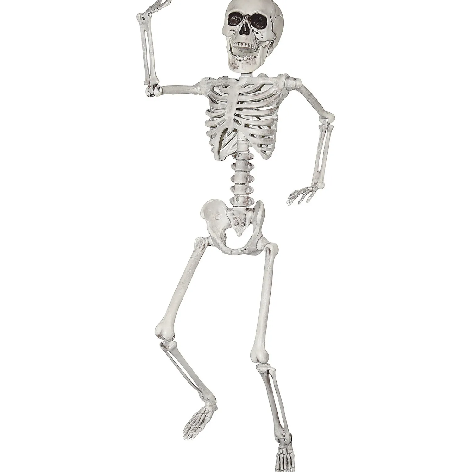 skeleton_decoration_0.webp 24" Skeleton Decoration<Oriental Trading Outlet