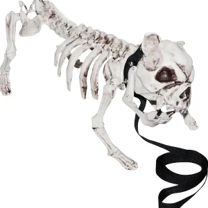Skeleton Dog<Oriental Trading Outlet