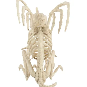 10" Skeleton Gargoyle Decoration<Oriental Trading Store