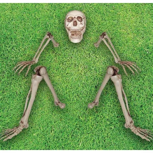 Skeleton Groundbreaker Decoration<Oriental Trading Shop