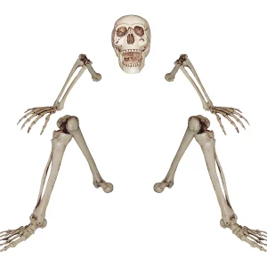 Skeleton Groundbreaker Decoration<Oriental Trading Shop