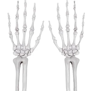 Skeleton Hands<Oriental Trading Outlet