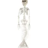 Skeleton Mermaid<Oriental Trading Store