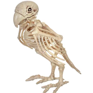 Skeleton Parrot Prop<Oriental Trading Best