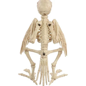 Skeleton Parrot Prop<Oriental Trading Best