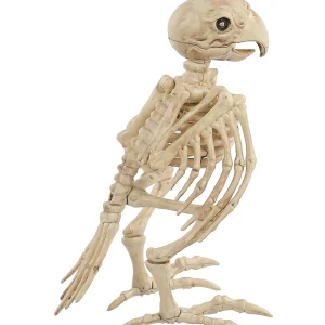 Skeleton Parrot Prop<Oriental Trading Best