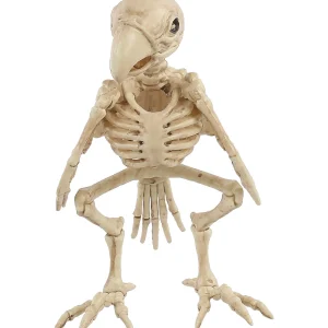 Skeleton Parrot Prop<Oriental Trading Best