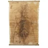 Skeleton Scroll Halloween Decoration<Oriental Trading Shop