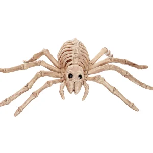 Skeleton Spider Decoration<Oriental Trading Shop