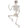 79" Skeleton Titan Halloween Decoration<Oriental Trading New