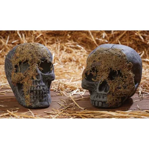 Skull Moss Covered No Jaw<Oriental Trading Online