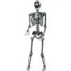 5' Steel Gray Skeleton Halloween Decoration<Oriental Trading Best