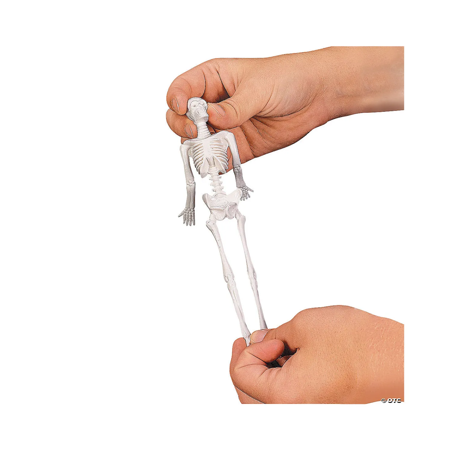 stretchy_skeletons_1-1.webp Oriental Trading Fidget Toys & Spinners*Stretchy Skeletons
