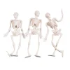 Stretchy Skeletons - 12 Pc.<Oriental Trading Discount