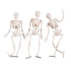 Stretchy Skeletons - 12 Pc.<Oriental Trading Fashion