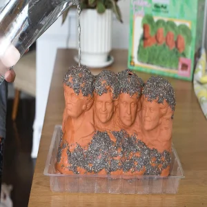 Oriental Trading Character Toys*The Golden Girls Rushmore Chia Pet Decorative Planter Toynk Exclusive