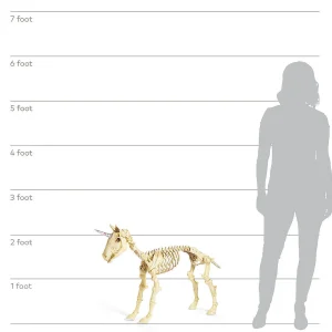Unicorn Skeleton Halloween Decoration<Oriental Trading Outlet