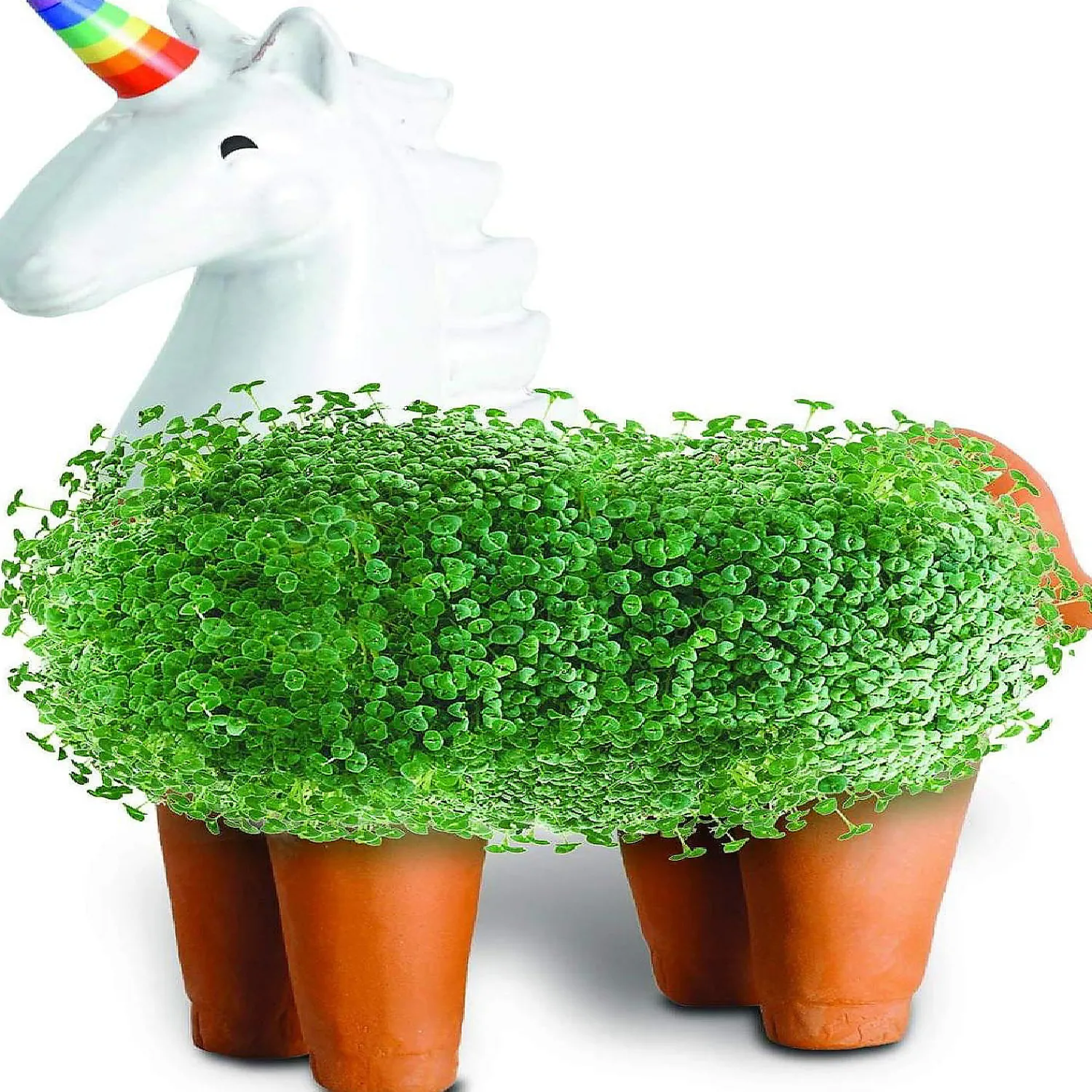 unicorn_with_rainbow_horn_2.webp Oriental Trading Character Toys*Unicorn With Rainbow Horn Chia Pet Decorative Planter