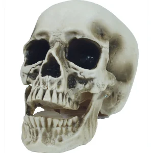 Vinyl Skull Decoration<Oriental Trading Discount