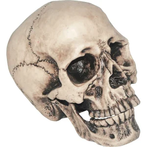 Vinyl Skull Decoration<Oriental Trading Discount