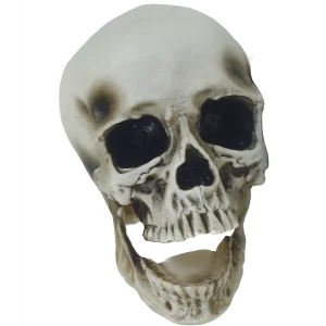 Vinyl Skull Decoration<Oriental Trading Discount