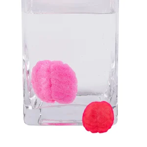 Watch It Grow Brains Water Toy - 36 Pc.<Oriental Trading Online