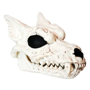 Werewolf Skull Halloween Decoration<Oriental Trading Cheap