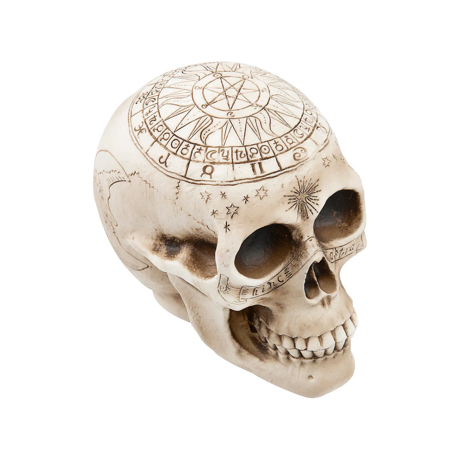 withchcraft_skull_hallowe_1.webp Withchcraft Skull Halloween Decoration<Oriental Trading Shop