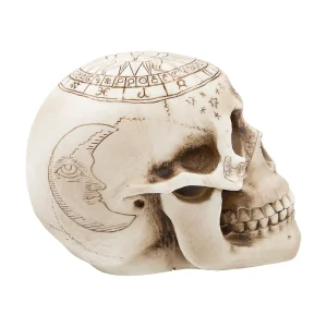 Withchcraft Skull Halloween Decoration<Oriental Trading Shop