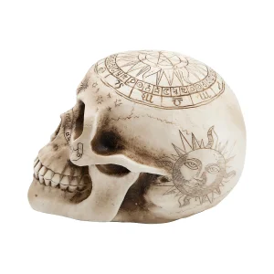 Withchcraft Skull Halloween Decoration<Oriental Trading Shop