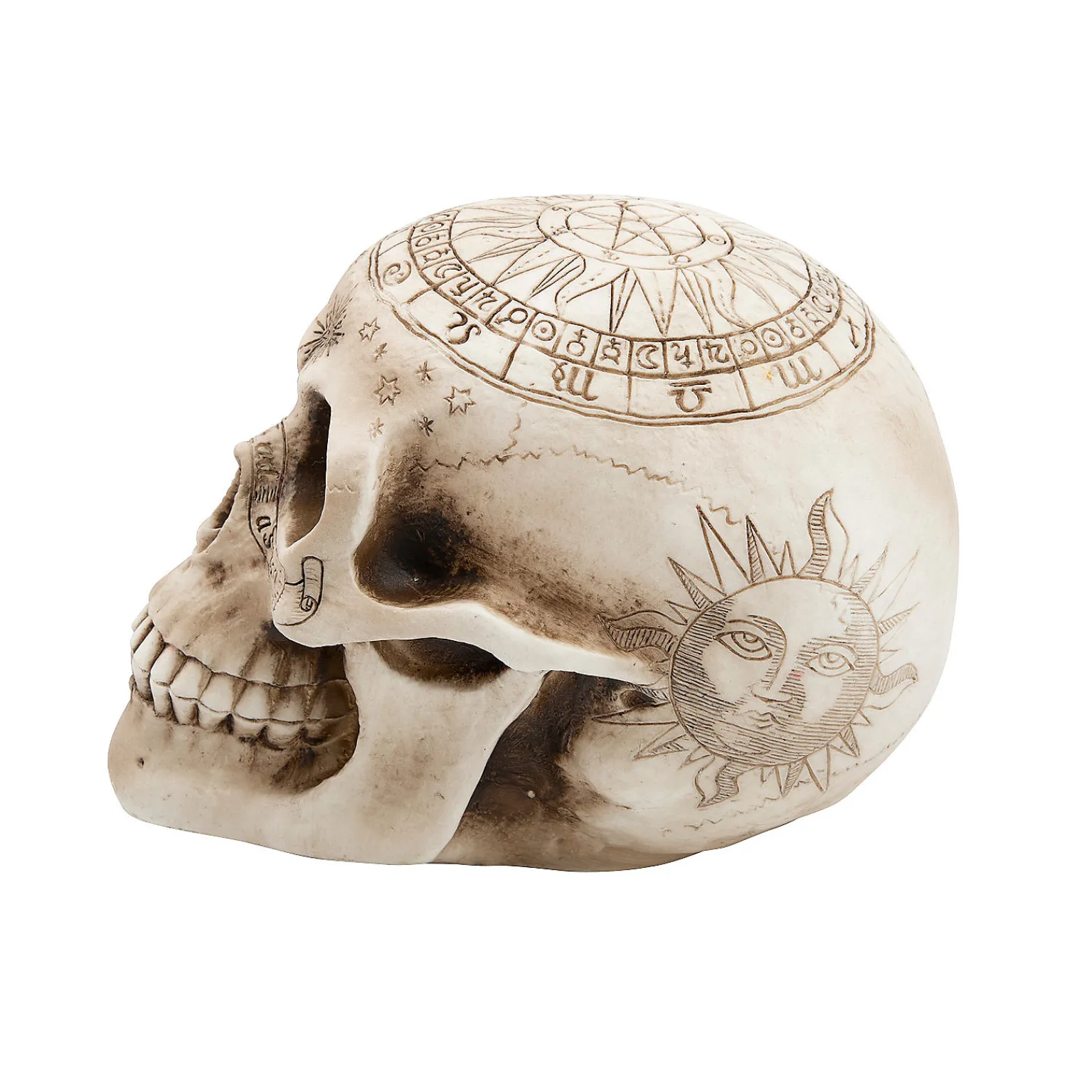 withchcraft_skull_hallowe_3.webp Withchcraft Skull Halloween Decoration<Oriental Trading Shop
